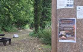 image00013.jpeg