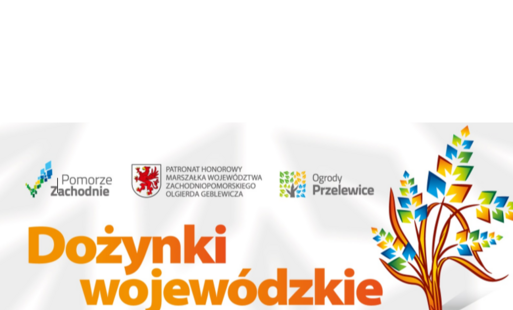 Zdjęcie do Informacja dotycząca Dożynek Wojew&oacute;dzkich 2026