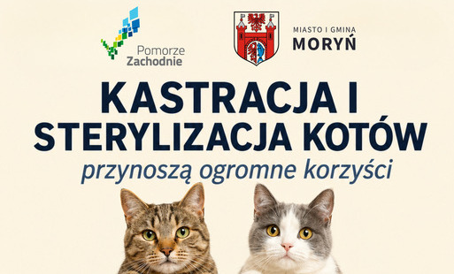 Zdjęcie do Kastracja i sterylizacja kot&oacute;w w Gminie Moryń